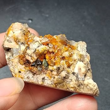 Amazon.co.jp: 100％天然ガーネットと結晶共生鉱物標本